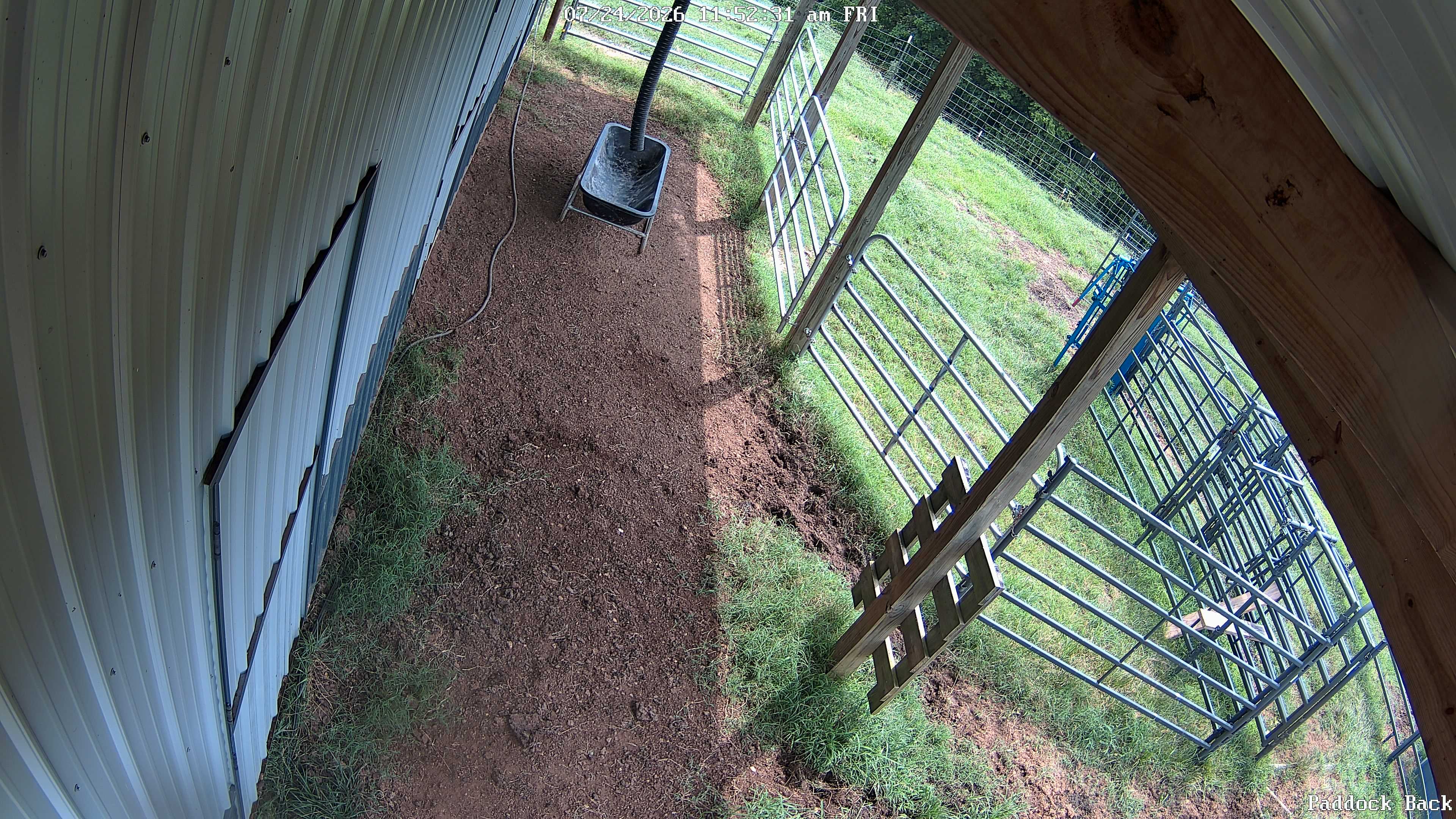 Disney Farm live view