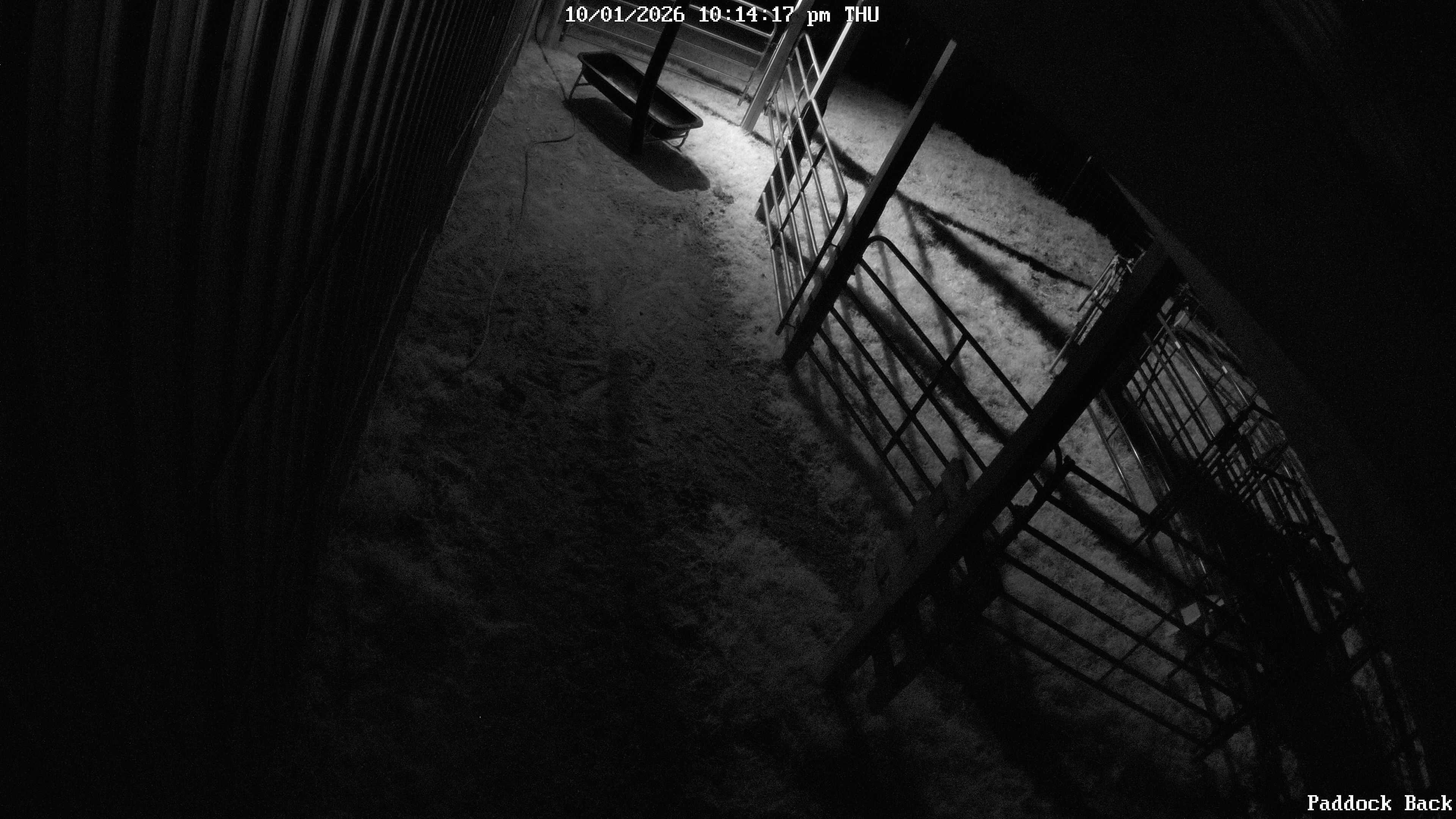 Disney Farm live view
